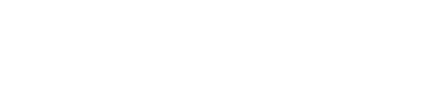 logo light