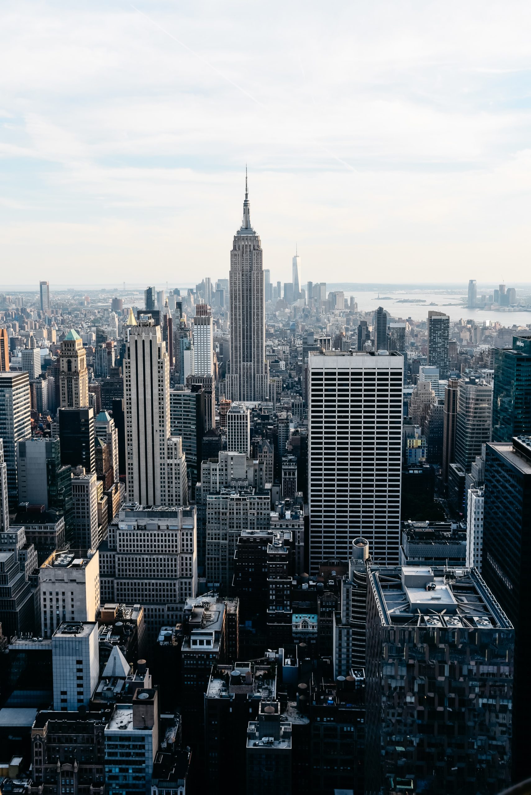 Expert witness testimony in New York City courts